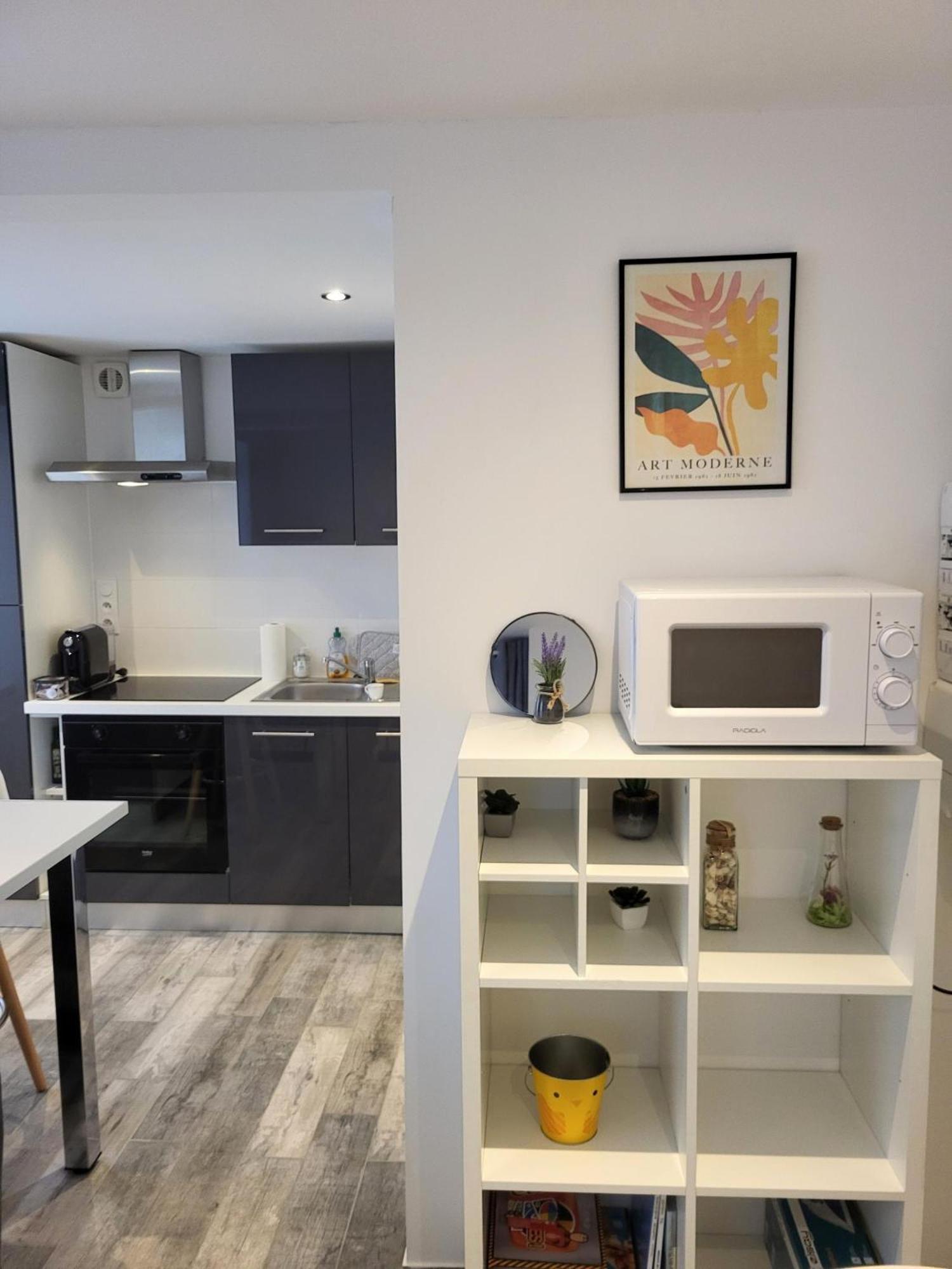 Appartement Avec Terrasse Entre Vignes, Balades, Alsace غيبووييه المظهر الخارجي الصورة